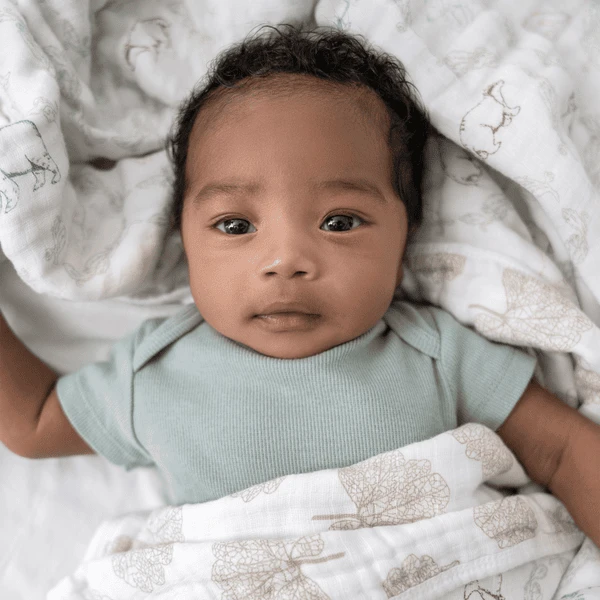 Aden Coperta In Mussola +anais Harmony 5 Aden Coperta In Mussola +anais Harmony - immagine 3