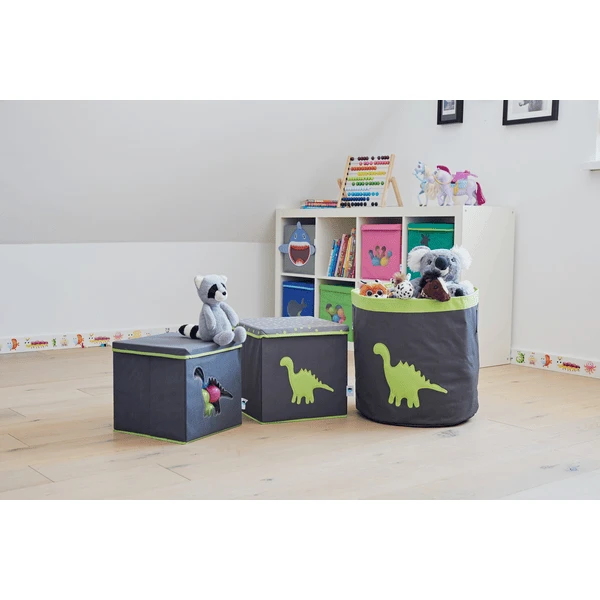 STORE !t Cestino Dino 6 STORE !t Cestino Dino - immagine 4